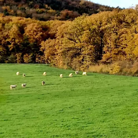 La Maison Des Roses Holiday home