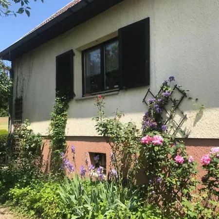 La Maison Des Roses *