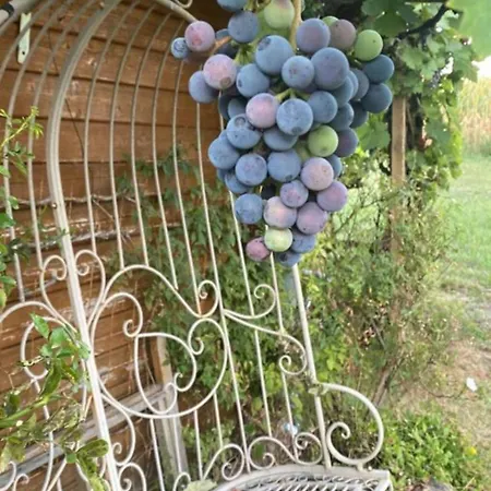 La Maison Des Roses Hébergement de vacances