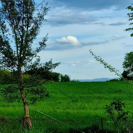 La Maison Des Roses Drachenbronn-Birlenbach
