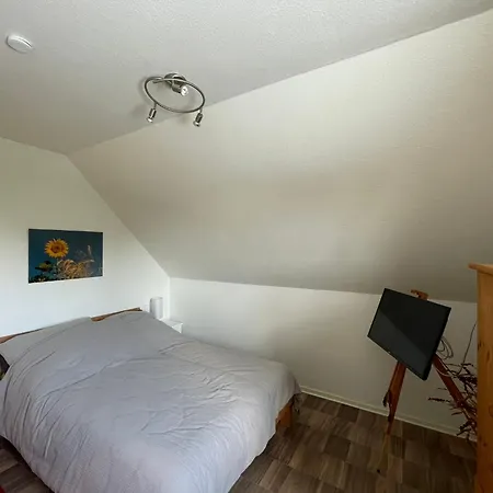 La Maison Des Roses- Maison Avec Jacuzzi Et Sauna