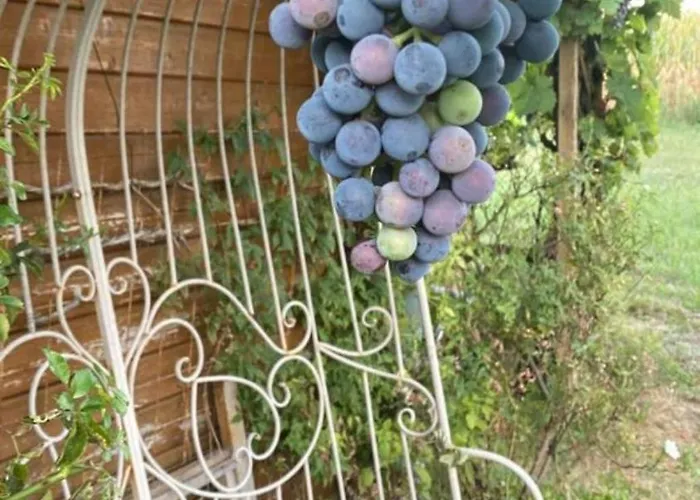 La Maison Des Roses Holiday home